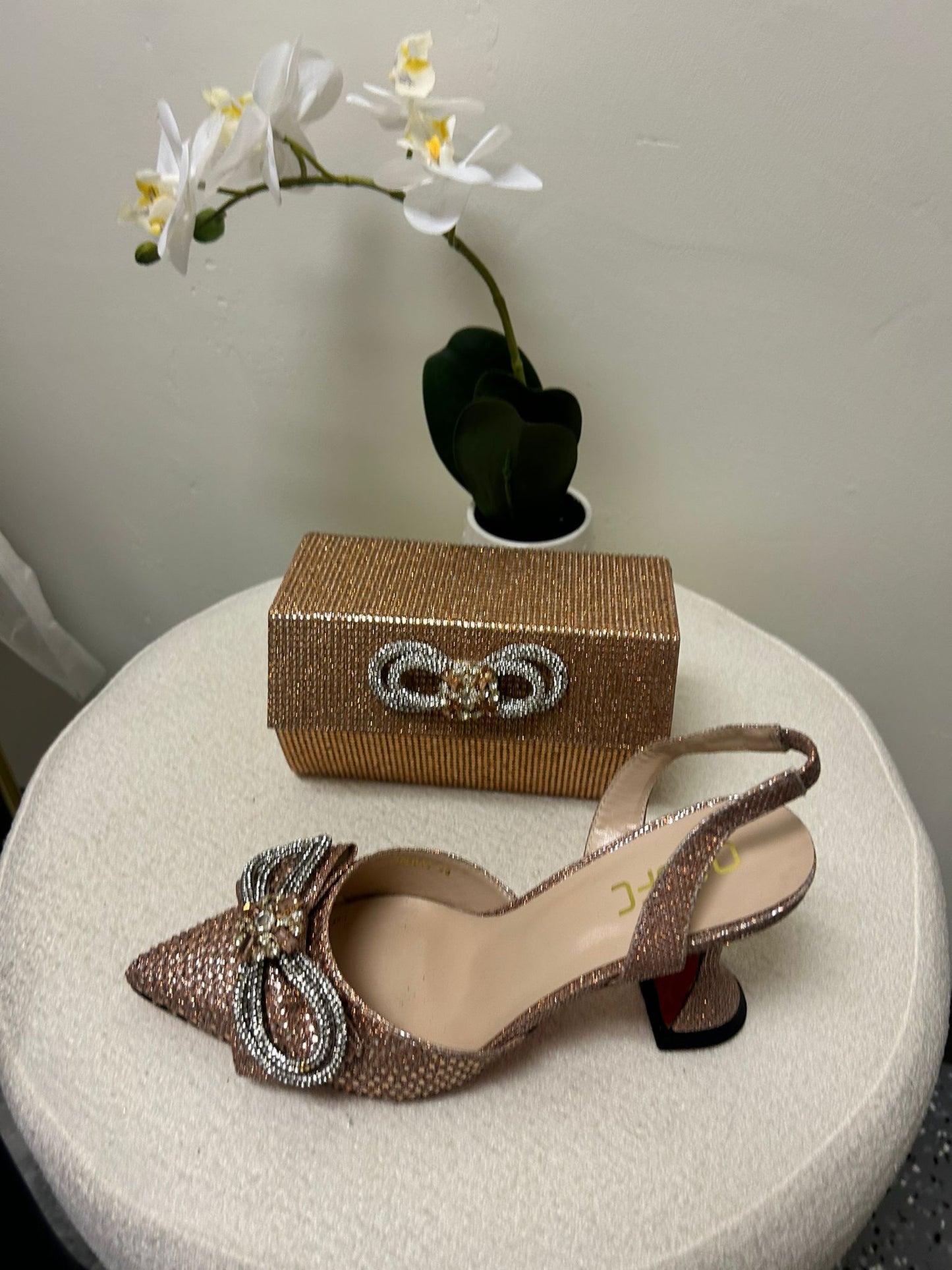 Red Bottom Designer Shoe